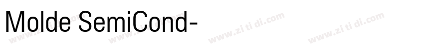 Molde SemiCond字体转换